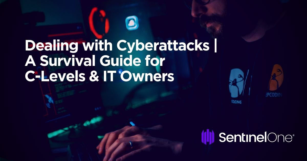 A survival guide for CL levels and IT owners dealing with cyberattacks, focusing on network management and data recovery.