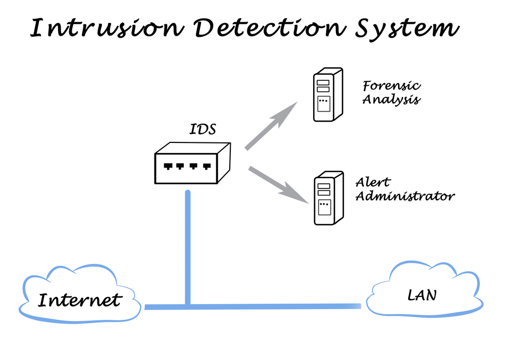 A diagram illustrating examples of an intrusion detection system.