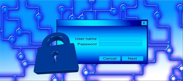 Support information security with organizational policies and programs